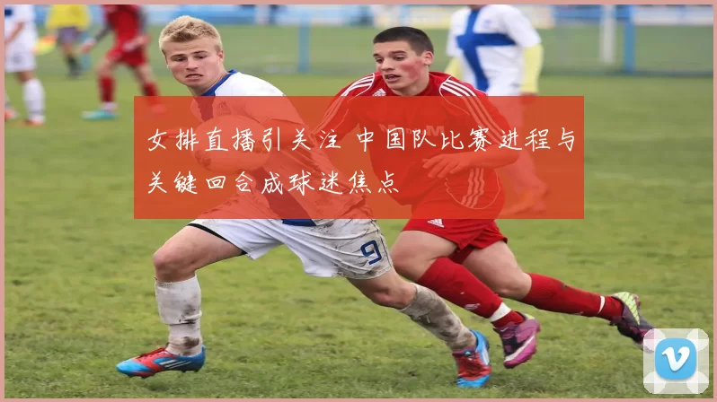 女排直播引关注 中国队比赛进程与关键回合成球迷焦点