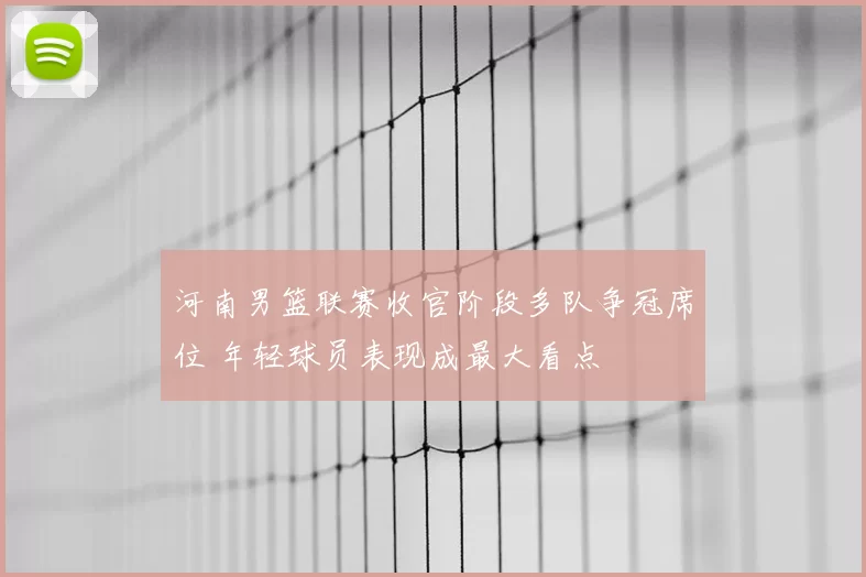 河南男篮联赛收官阶段多队争冠席位 年轻球员表现成最大看点